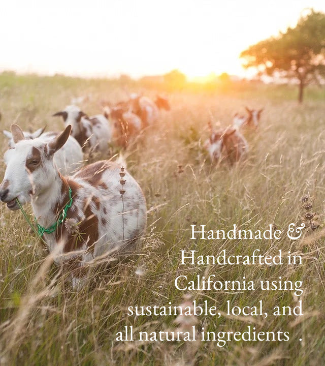 Eucalyptus Goat Milk Lotion | Cooling & Fast-Absorbing