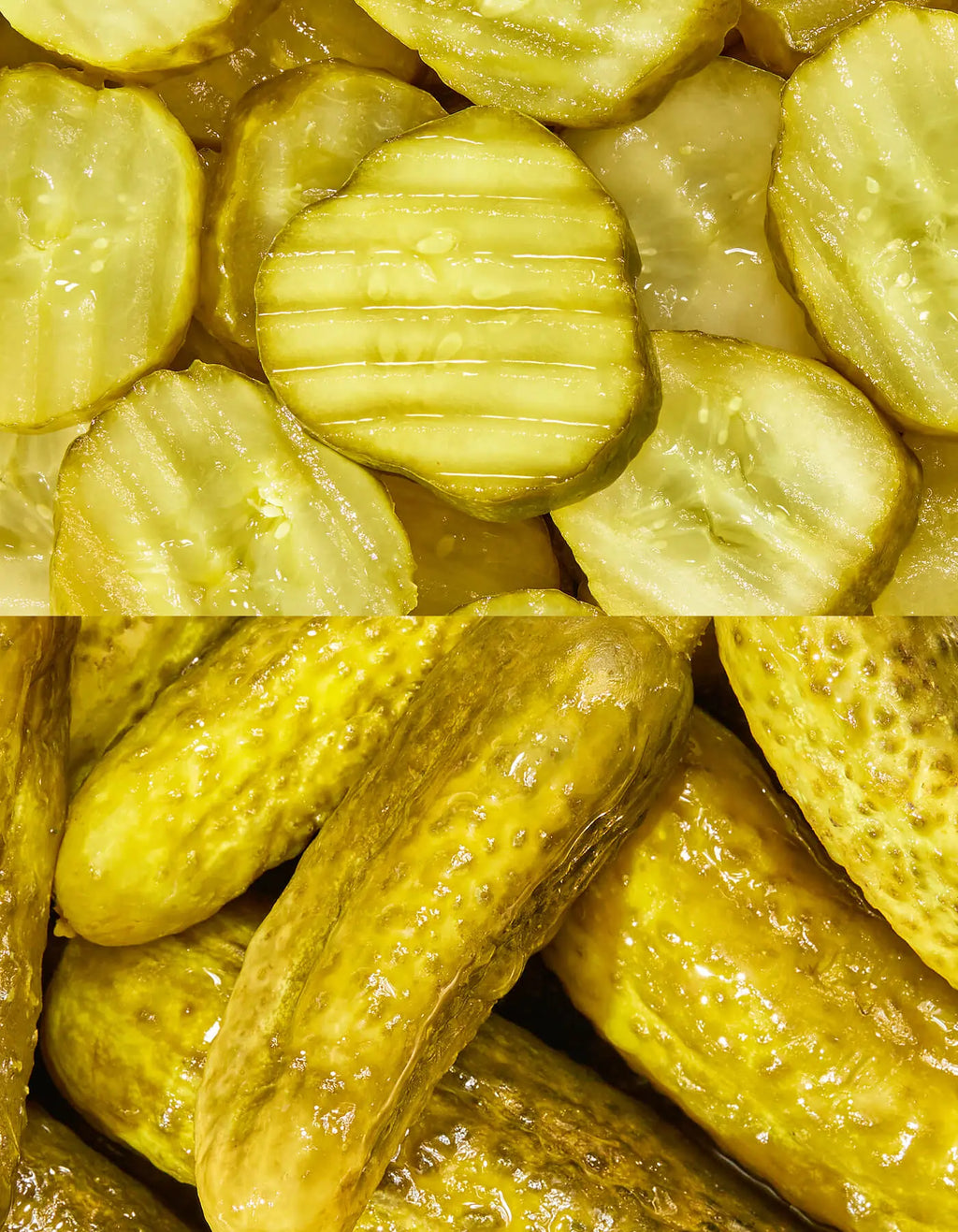 Pickle Starter Pack