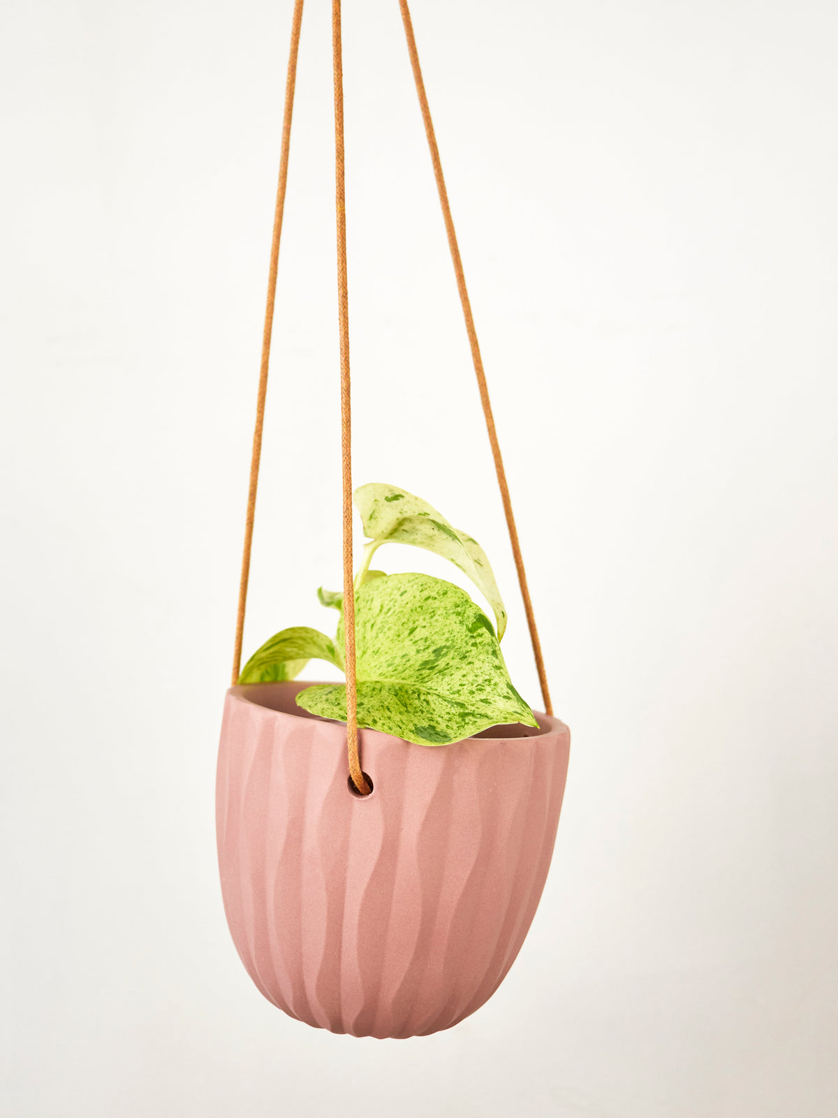 Virago Modern Hanging Planter- Waves